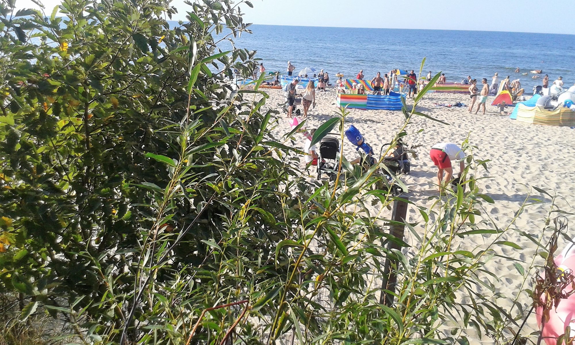 Pobierowo - widok na plażę